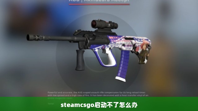 steamcsgo启动不了怎么办