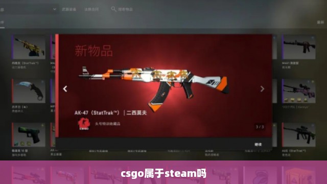 csgo属于steam吗