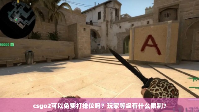 csgo2可以免费打排位吗？玩家等级有什么限制？