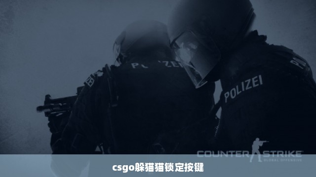 csgo躲猫猫锁定按键