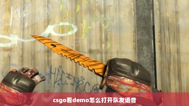 csgo看demo怎么打开队友语音