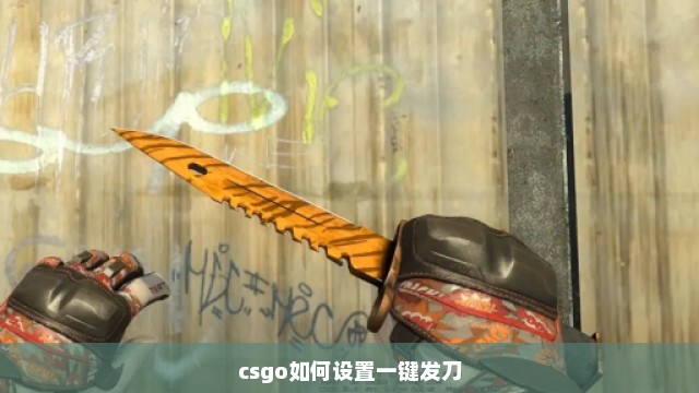 csgo如何设置一键发刀