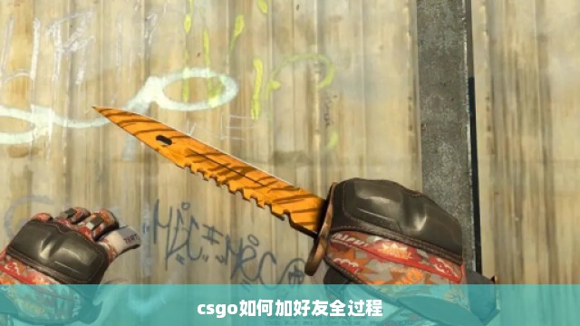 csgo如何加好友全过程