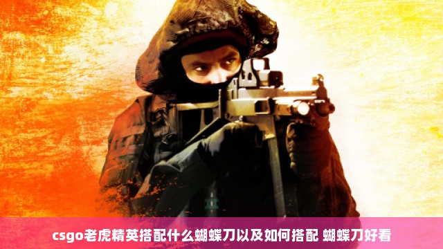 csgo老虎精英搭配什么蝴蝶刀以及如何搭配 蝴蝶刀好看