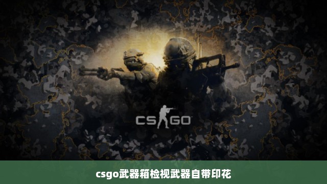 csgo武器箱检视武器自带印花