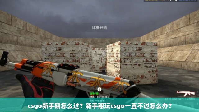 csgo新手期怎么过？新手期玩csgo一直不过怎么办？