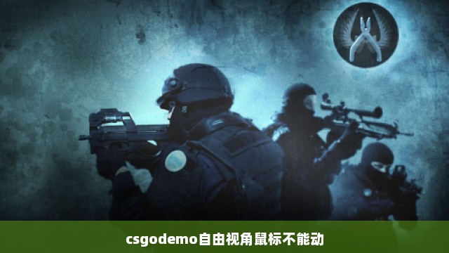 csgodemo自由视角鼠标不能动