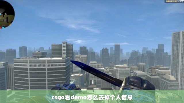 csgo看demo怎么去掉个人信息