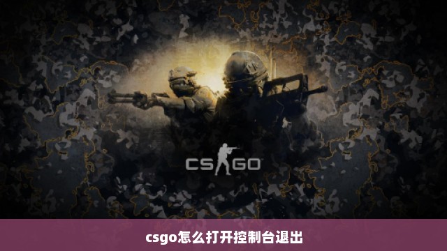 csgo怎么打开控制台退出