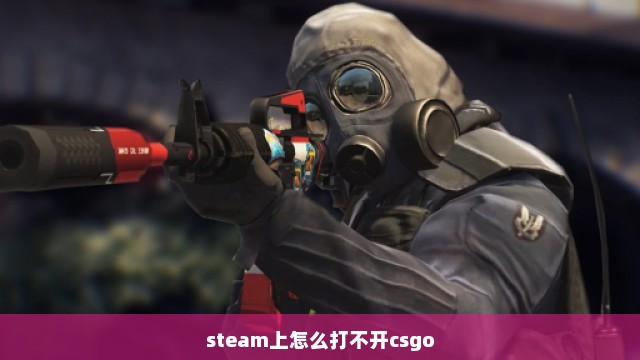 steam上怎么打不开csgo