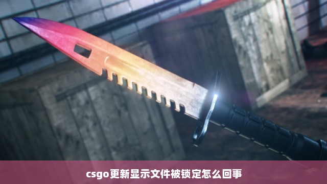 csgo更新显示文件被锁定怎么回事