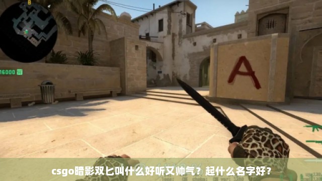 csgo暗影双匕叫什么好听又帅气？起什么名字好？