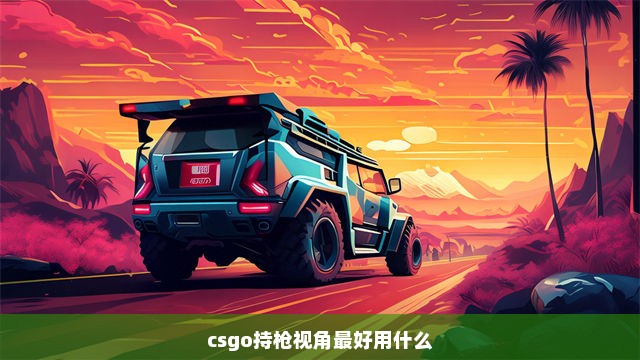 csgo持枪视角最好用什么