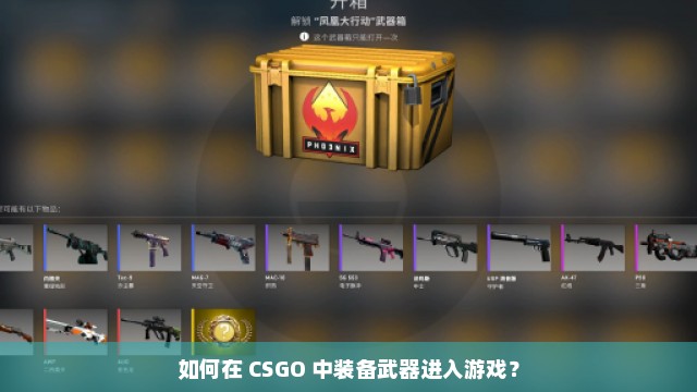 如何在 CSGO 中装备武器进入游戏？