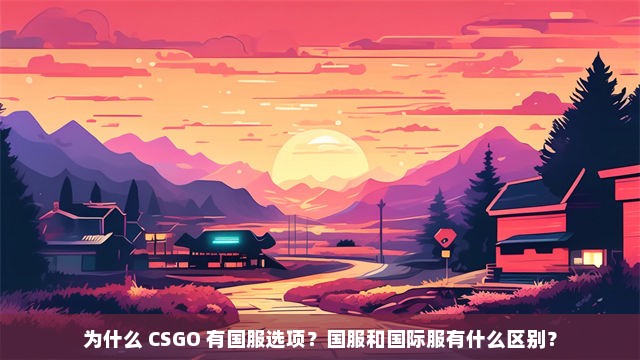 为什么 CSGO 有国服选项？国服和国际服有什么区别？