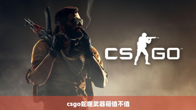 csgo蛇噬武器箱值不值