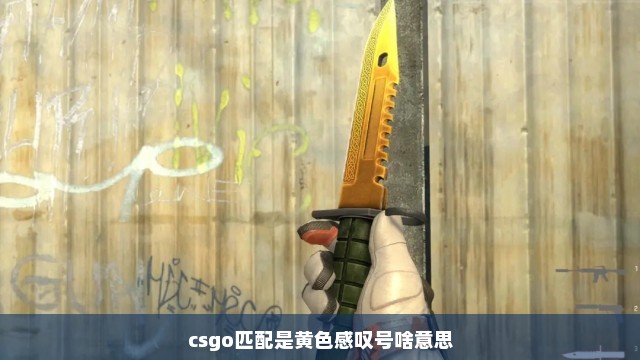 csgo匹配是黄色感叹号啥意思