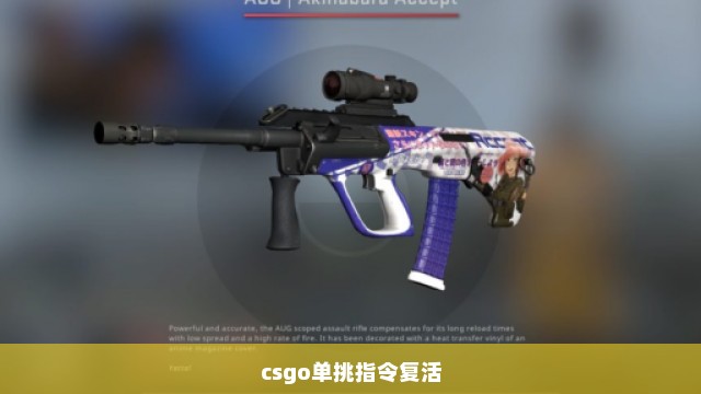 csgo单挑指令复活