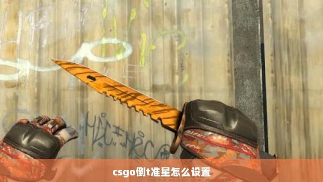 csgo倒t准星怎么设置