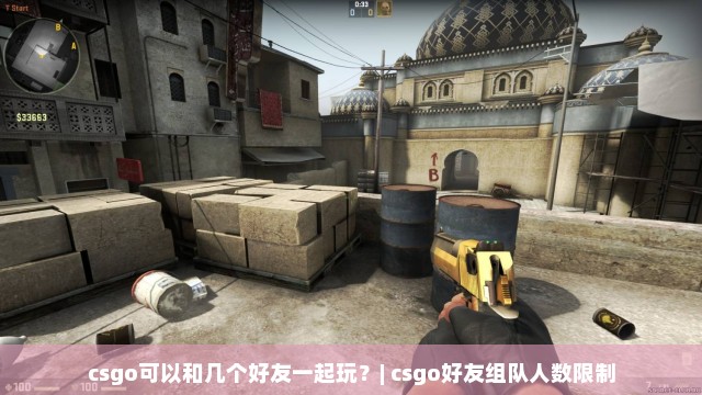 csgo可以和几个好友一起玩？| csgo好友组队人数限制