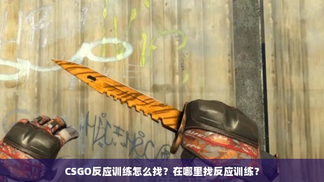 CSGO反应训练怎么找？在哪里找反应训练？