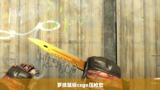 罗技鼠标csgo压枪宏