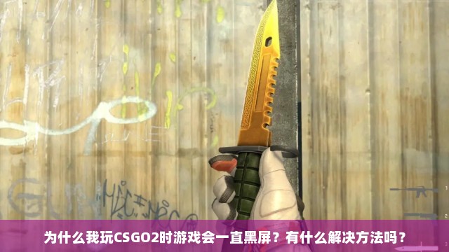 为什么我玩CSGO2时游戏会一直黑屏？有什么解决方法吗？