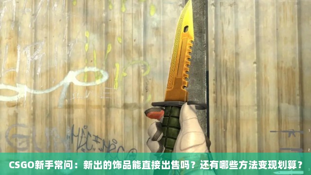 CSGO新手常问：新出的饰品能直接出售吗？还有哪些方法变现划算？