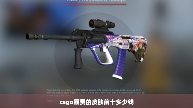 csgo最贵的皮肤前十多少钱