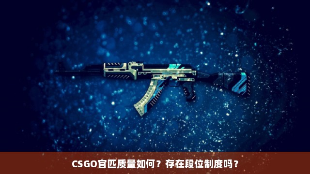 CSGO官匹质量如何？存在段位制度吗？