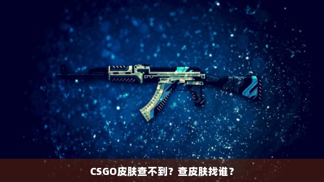 CSGO皮肤查不到？查皮肤找谁？