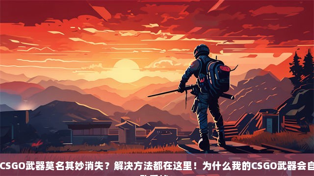 CSGO武器莫名其妙消失？解决方法都在这里！为什么我的CSGO武器会自动丢掉？