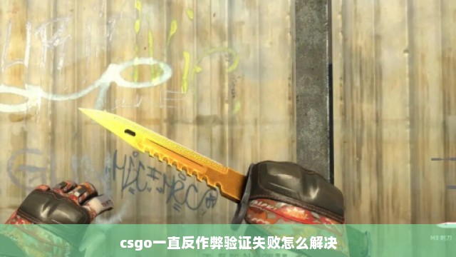 csgo一直反作弊验证失败怎么解决