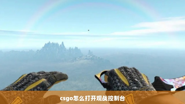 csgo怎么打开观战控制台