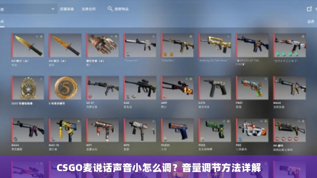 CSGO麦说话声音小怎么调？音量调节方法详解