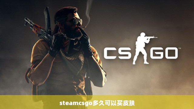 steamcsgo多久可以买皮肤