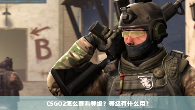 CSGO2怎么查看等级？等级有什么用？