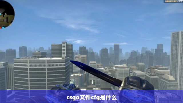 csgo文件cfg是什么