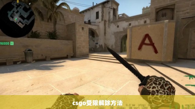 csgo受限解除方法