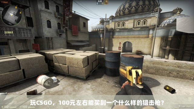 玩CSGO，100元左右能买到一个什么样的狙击枪？