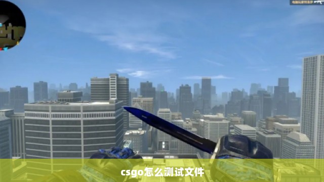 csgo怎么测试文件