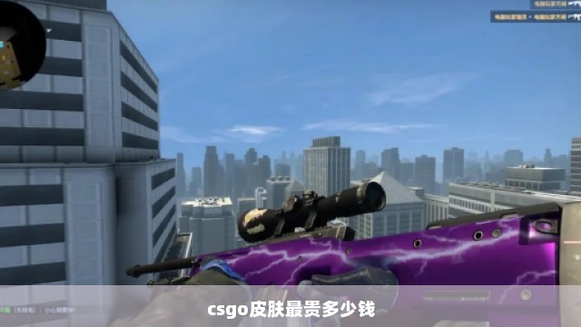 csgo皮肤最贵多少钱