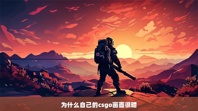 为什么自己的csgo画面很暗