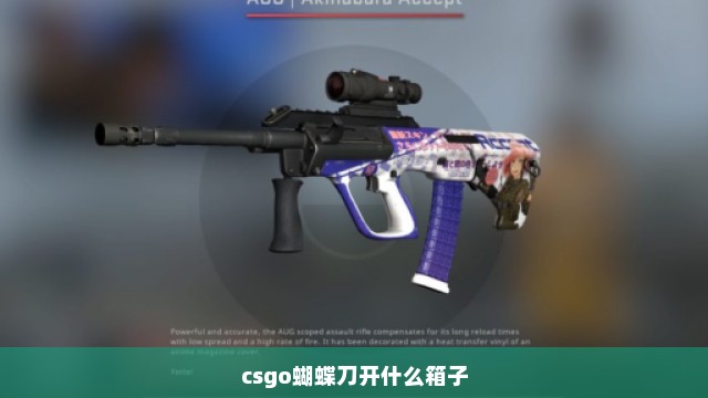 csgo蝴蝶刀开什么箱子