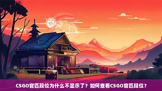 CSGO官匹段位为什么不显示了？如何查看CSGO官匹段位？