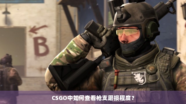 CSGO中如何查看枪支磨损程度？