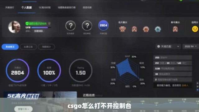 csgo怎么打不开控制台