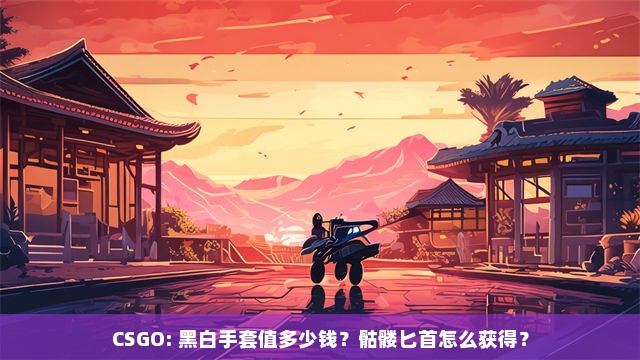 CSGO: 黑白手套值多少钱？骷髅匕首怎么获得？