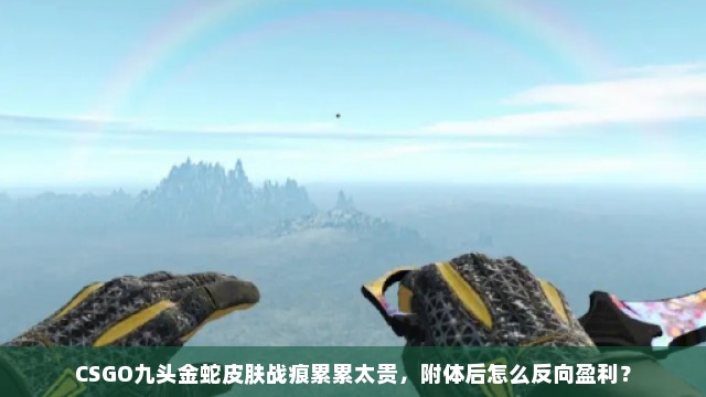 CSGO九头金蛇皮肤战痕累累太贵，附体后怎么反向盈利？