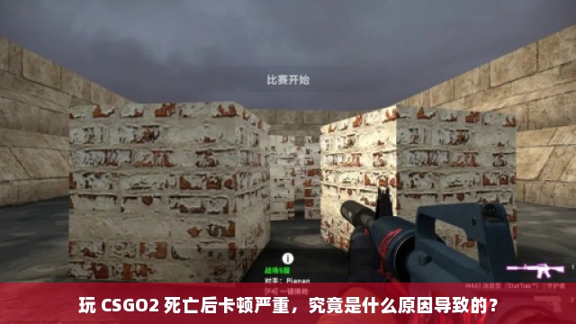 玩 CSGO2 死亡后卡顿严重，究竟是什么原因导致的？